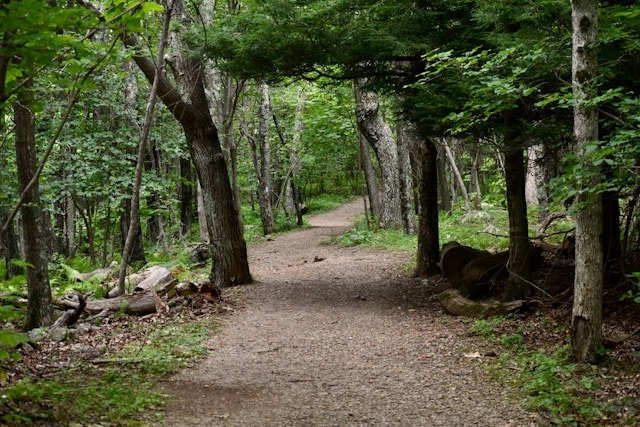 A hiking trail.