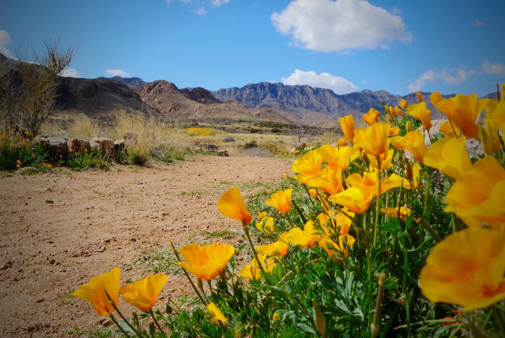 Charles City Property Management