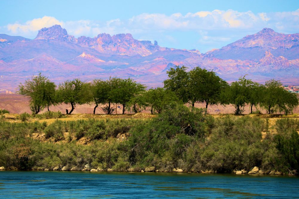 Prince George Property Management